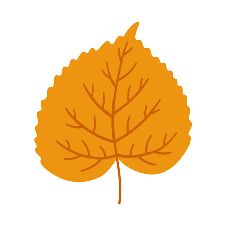 Linden autumn leaf on white background. Warm colors of fall, vector illustration in orange color for design.のイラスト素材