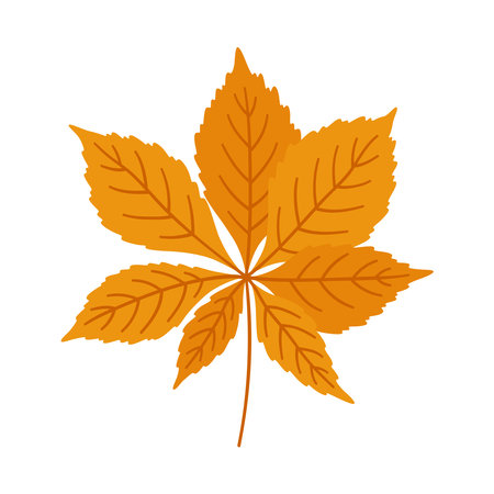 Horse chestnut autumn leaf on white background. Warm colors of fall, vector illustration in orange color for design.のイラスト素材