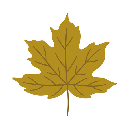 Maple autumn leaf on white background. Warm colors of fall, vector illustration in green color for design.のイラスト素材