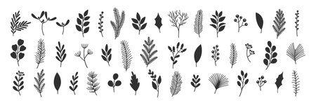 Vector set hand drawn illustrations of Christmas branches, leaves, and pine twigs. Big collection of winter holiday greenery. Black silhouettes of evergreen plants on a white background.のイラスト素材