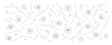 Apricot blossoms and branches set isolated on white background. Hand drawn cherry blossom, outline flowers, buds, and twigs in modern line art style. Vector illustrationのイラスト素材