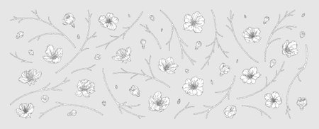 Set of apricot blossoms and branches. Hand drawn cherry flowers, buds, and twigs in modern line art style. Black elements outline with white fill, vector illustrationのイラスト素材