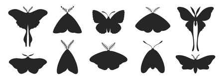 Vintage butterfly silhouettes set isolated on a white background. Simple black butterflies and moths. Vector illustration, insect iconsのイラスト素材