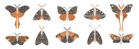 Butterfly icons with floral ornament. Set of vintage mystical butterflies or moths. Vector illustration of celestial insectsのイラスト素材