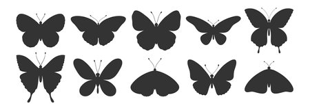 Butterfly silhouettes set. Simple black shapes of wings butterflies and moths, tattoos. Vector illustration, insect iconsのイラスト素材