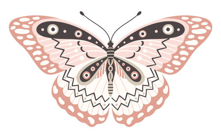 Butterfly icon, vector illustration. Wings with geometric abstract ornament, front view, a symbol for tattoo design. Summer background, fly insectのイラスト素材
