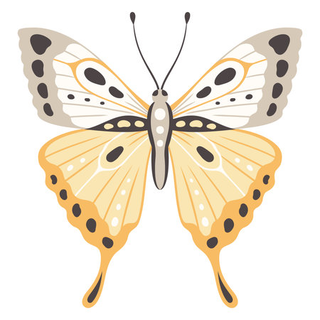 Butterfly vector illustration. Colorful wings with abstract ornament, front view, a symbol for tattoo design. Summer background, fly insectのイラスト素材