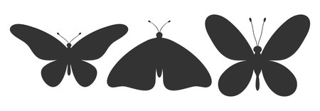 Set of three butterfly silhouettes. Insect icons, tattoos. Simple black shapes of butterflies and moths. Vector illustrationのイラスト素材