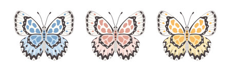 Set of butterflies, vector illustration. Insect wings with abstract ornament, front view, a symbol for tattoo design. summer backgroundのイラスト素材