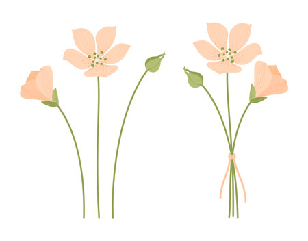 Set of summer orange delicate flowers, bouquet silhouette, green stems, and white background. Bunches of wildflowers. Vector illustration for design projectsのイラスト素材