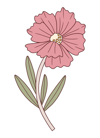 Wildflower coreopsis, blooming flower pink color, green leaves. Detailed shape with contour. Hand-drawn blooming meadow wild plant. Botanical element, floral vector illustrationのイラスト素材