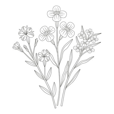 Wildflower bouquet with different meadow flowers. Line art, minimal style, contour. Botanical hand-drawn elements for design projects. Vector illustrationのイラスト素材