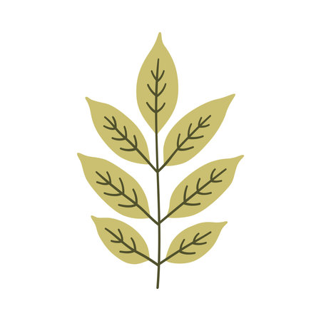 Ash leaf in light green color. One element isolated on white. Spring or summer background, vector illustrationのイラスト素材