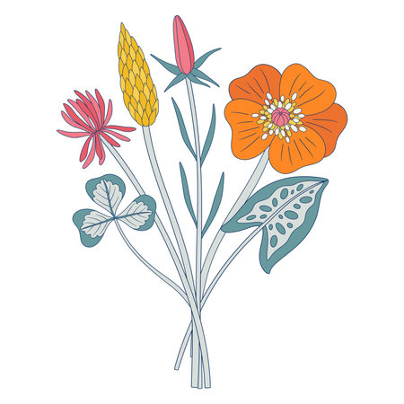 Bright bouquet of wildflowers. Bunch with anemone, clover, different meadow flowers, and blooming wild plants. Botanical hand-drawn elements for design projects. Vector illustrationのイラスト素材
