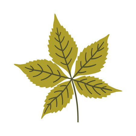 Five-leaved ivy in light green color. One element isolated on white. Spring or summer background, vector illustrationのイラスト素材