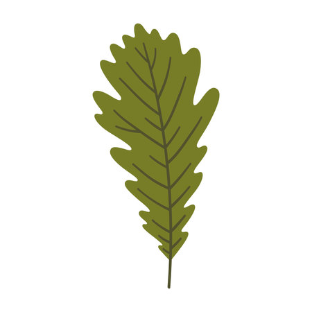Oak leaf in dark green color. One element isolated on white. Spring or summer background, vector illustrationのイラスト素材