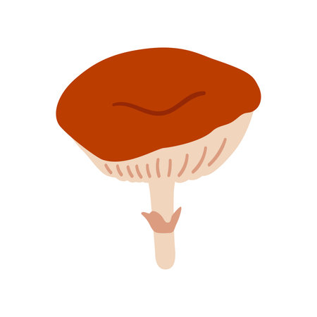 Mushroom, fly agaric, red color shades. Simple vector autumn icon on white background. Forest wild fungus, flat style illustrationのイラスト素材