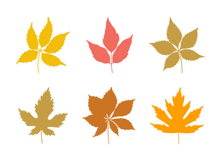 Set of autumn leaves. Fall background, foliage of maple, chestnut and five-leaved ivy in red, orange, yellow, and green colors. Vector illustrationのイラスト素材