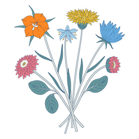 Bright bouquet of wildflowers. Bunch of meadow flowers with snowdrop and knapweed, wild plants, herbs. Botanical hand-drawn elements for design projects. Vector illustrationのイラスト素材