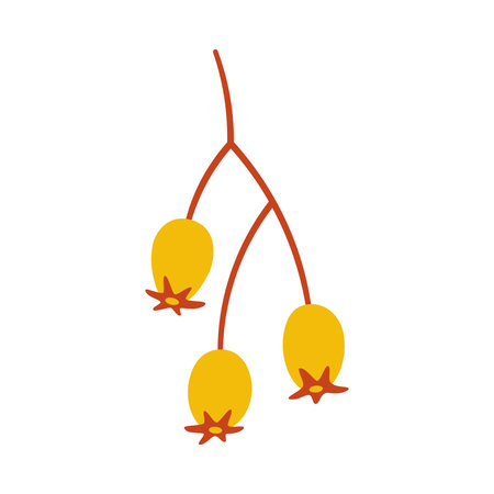 Seeds of shrub, yellow berries on a twig. Vector simple hand-drawn element on a white background for stickers, web design, and postcardsのイラスト素材