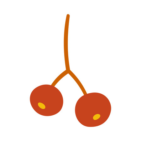 Seeds of virginia creeper, two berries of red colors. Vector simple hand-drawn element on a white background for stickers, web design, and postcardsのイラスト素材