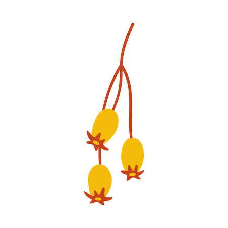 Seeds of shrub, three yellow berries on a twig. Vector simple hand-drawn element on a white background for stickers, web design, and postcardsのイラスト素材