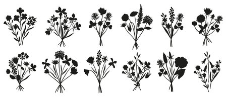 Wildflower bouquet silhouettes set. Different meadow flowers, herbs, and wild plants. Botanical elements for design projects. Minimal style, vector illustrationのイラスト素材