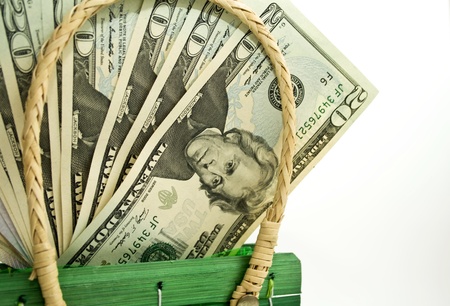   Money in the green bag on a white background