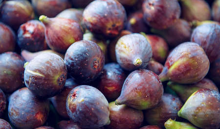 background of fig fruit, shades of blue. close-upの写真素材