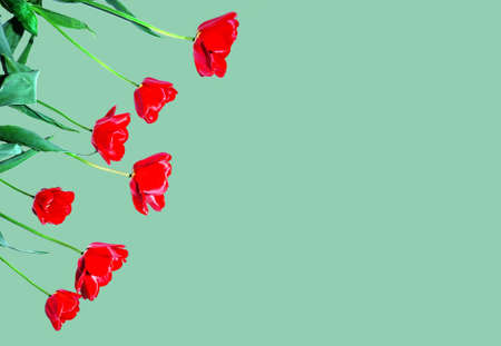 Colorful spring background with beautiful tulips, seasonal background. spring mood. greeting cards. invitation card.の写真素材
