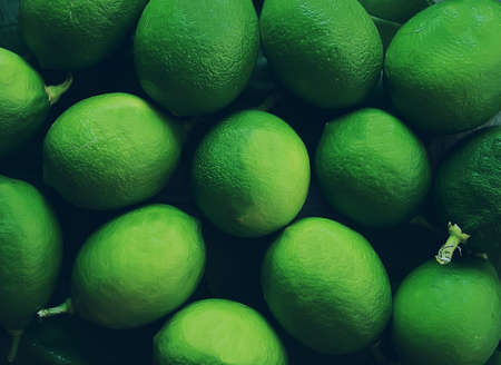stylized background of lemons. photograph with imitation of film. soft focus and light haze give the photo a non-standard look and improve perception, something between drawing and photography. artの写真素材