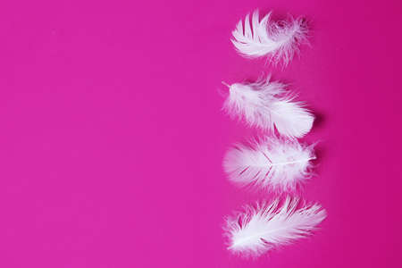 beautiful goose feather with down on a bright colored background close-up. with the ease of a pen, airiness and lightness. weightlessness. spa salonsの写真素材