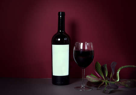 a glass of red wine on a red background, with a branch of an exotic plant. suitable for advertising wine restaurant, wine list of wine factory products. selective focus, copy spaceの写真素材