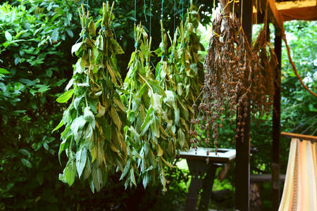Collecting herbs for herbal tea. Medicinal herbs are tied in bundles and hung under a canopy for drying and further brewing of herbs. selective focus, shallow depth of fieldの写真素材