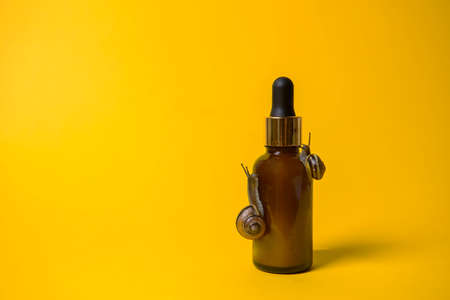 Organic cosmetics with mucin, snail on a pleasant bright yellow background, mockup. advertising cosmetics. banner, selective focus, copy space.の写真素材