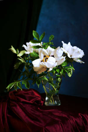 Fine art still life floral close-up.peonies in a classic style. a bouquet on a burgundy background, a velvety peony flower with a detailed texture on a black background in the style of vintage paintingの写真素材