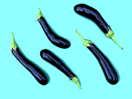 ripe eggplants on a bright background. a poster for the dining room, an advertisement for farm products, a stylish picture for the interior of the storeの写真素材