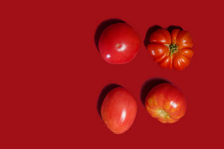 tomatoes of different varieties and sizes lie on a bright background. tomatoes close-up. Juicy and fresh tomatoes of different varieties. A healthy food product. isolated. copy spaceの写真素材