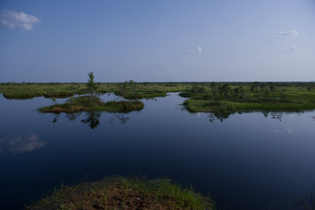 Elninskoe swamp, Belarus. Landscape of the Elninsky Reserve. A beautiful and clean lake in the center of the reserve.Walking along the eco-trail, acquaintance with a new ecosystem.swamp-lungs of Europeの写真素材