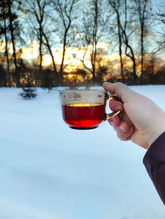 Romantic winter evening. A cup of fragrant tea in female hands at sunset. natural natural health product. Walking in the park on cold winter evenings. Seasonal tea party, cosiness and mood conceptの写真素材