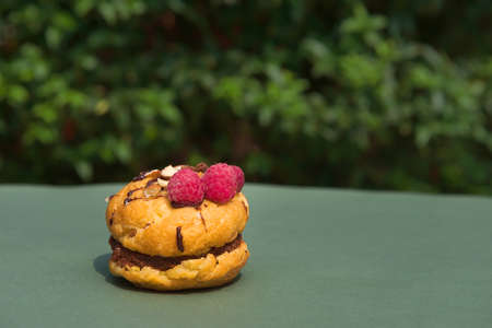 Cupcake Little sizes with raspberries on a green background in the summer garden.Summer mood. Confectionery blog,banner in a cafe and a restaurant.Menu of confectionery.House furnace.A tempting offerの写真素材