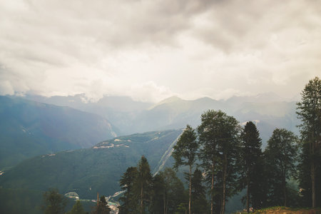 Forest with fog over mountains. Top view of the forest in the Caucasus mountains. Wildlife during...