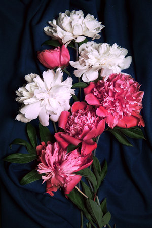 Background banner with a composition of flowers. A bouquet of bright peonies on a dark background. Restrained.view from above.Beautiful fresh peonies on black background, close up. floral card designの写真素材