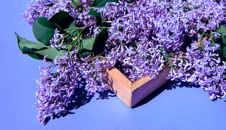 The concept of congratulations for women's spring holidays. Spring composition of lilac flowers on a...