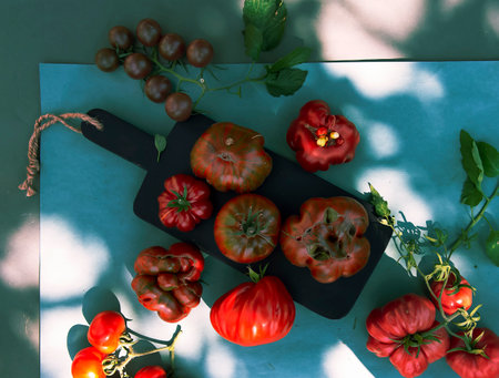 Tomatoes of different varieties and sizes on a colored background. The concept of ecological nutrition, home harvest, non-standard tomatoes. advertisement.vegetarian cuisine.banner.vegetable backgroundの写真素材