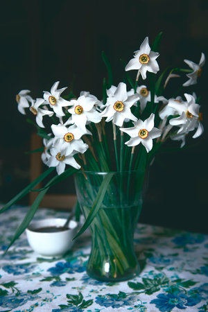 a vase of daffodils on the table.the decor of a country house,the photo was taken in daylight and stylized as a photo from a film camera.soft focus,smooth transitions of the chiaroscuro pattern.の写真素材