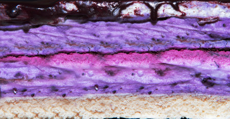 The texture of a puff blueberry cake and cream with the addition of lavender. author's recipe. Shades of blue. side view. background with a predominance of lavender colorの写真素材