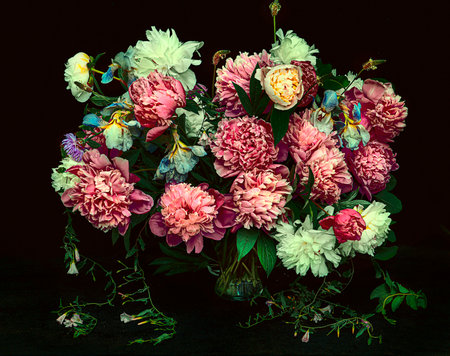 a composition of peonies and other flowers on a dark background, in vintage style. floral background. Floral postcard design with dark vintage effect. poster. stylish painting in the living room.decorの写真素材