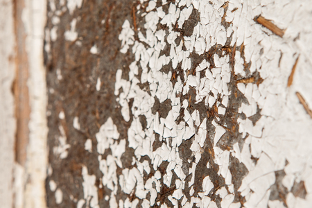 Old and peeled creaky paint , In course of time the white tone off the planks crackled, wood texture, background, colorful, cracks in the , vintage, abstract, grunge,の写真素材