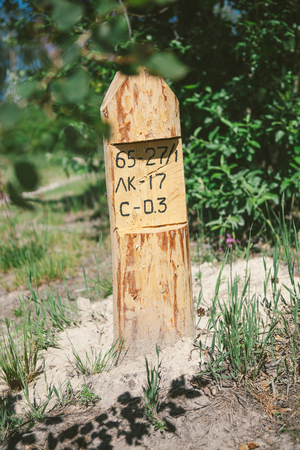 Deforestation. Nature Conservation. An indicative pillar in the forest.の写真素材
